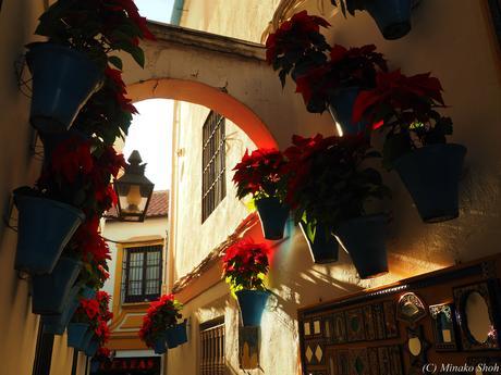 哀愁のコルドバ / El Cordobes, Cordoba Part2