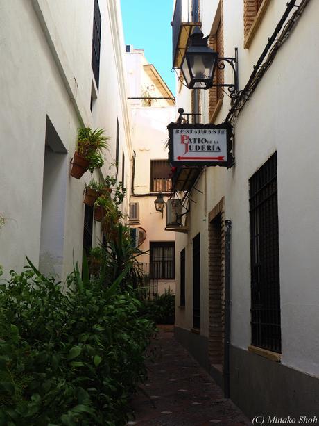 哀愁のコルドバ / El Cordobes, Cordoba Part2 哀愁のコルドバ / El Cordobes, Cordoba Part2