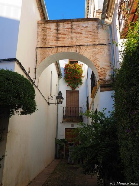 哀愁のコルドバ / El Cordobes, Cordoba Part2 哀愁のコルドバ / El Cordobes, Cordoba Part2