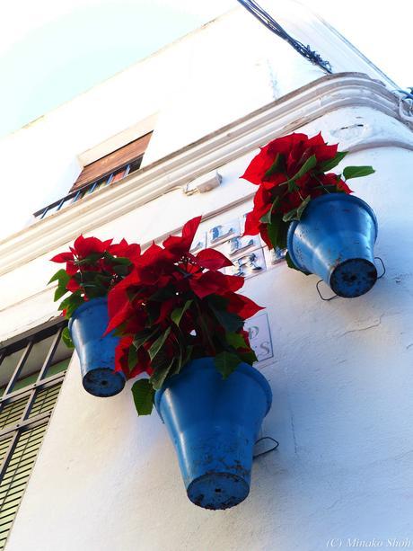 哀愁のコルドバ / El Cordobes, Cordoba Part2 哀愁のコルドバ / El Cordobes, Cordoba Part2