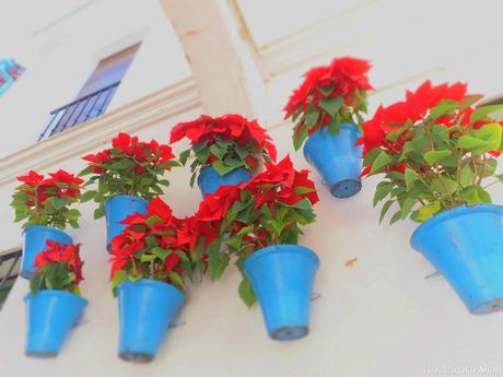 哀愁のコルドバ / El Cordobes, Cordoba Part2