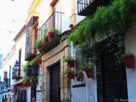 哀愁のコルドバ / El Cordobes, Cordoba Part2 哀愁のコルドバ / El Cordobes, Cordoba Part2