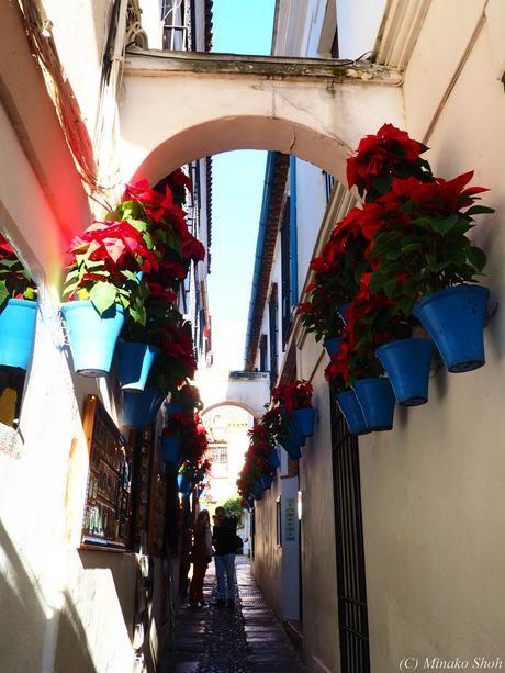 哀愁のコルドバ / El Cordobes, Cordoba Part2