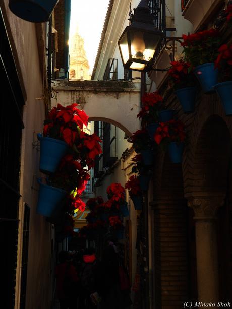 哀愁のコルドバ / El Cordobes, Cordoba Part2