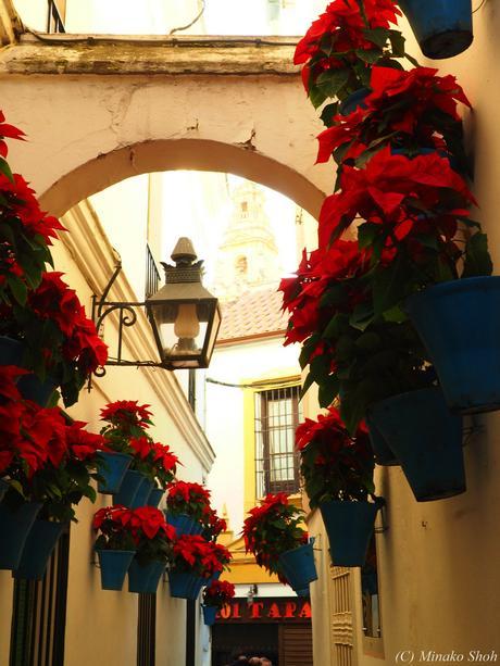 哀愁のコルドバ / El Cordobes, Cordoba Part2