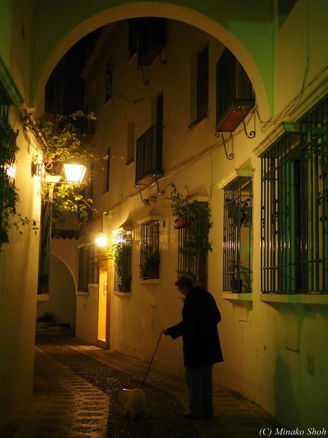 哀愁のコルドバ / El Cordobes, Cordoba Part2 哀愁のコルドバ / El Cordobes, Cordoba Part2