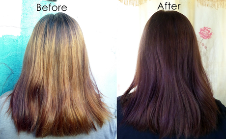 Have a Hazelnut Hair Using Revia Hair Coloring