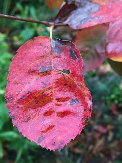 The quiet of Autumn