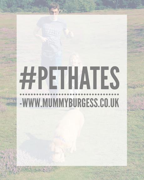 #PetHates