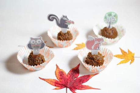 Gingerbread Superfood Bites 3