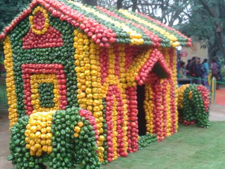 Taken on November 15, 2015 in Cubbon Park