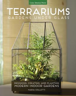 Book Reviews: Terrariums, Gardens Under Glass by Maria Colletti