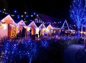 Feeling Festive: Best Kent Attractions This Christmas