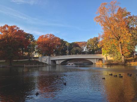 Fall Colors 