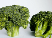 Creative Ways Kids Broccoli