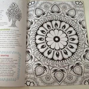 New Craze…Art Therapy