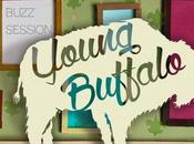 Young Buffalo