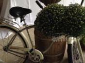 Choose Broker Started Investing