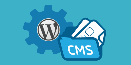 Steps To Follow For Creating A Perfect WordPress Website