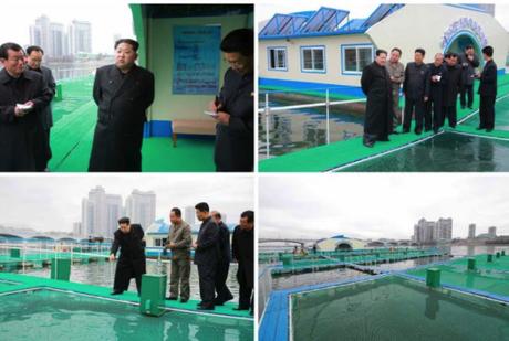 Kim Jong Un visits a fishery on the Taedong River (Photo: Rodong Sinmun).