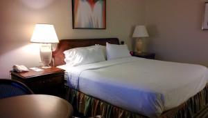 Holiday Inn - Niagara Falls