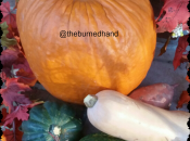 Paleo Thanksgiving Recipes