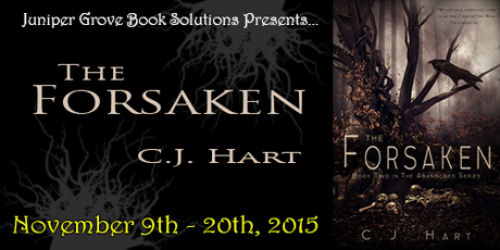  photo The-Forsaken-Tour-Banner.png