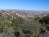 Relax Conejo Valley: Food, Wine, Microbrews Outdoors