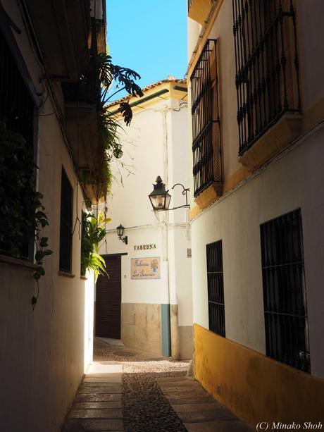 魅惑のコルドバ / Exotic Cordoba, part3