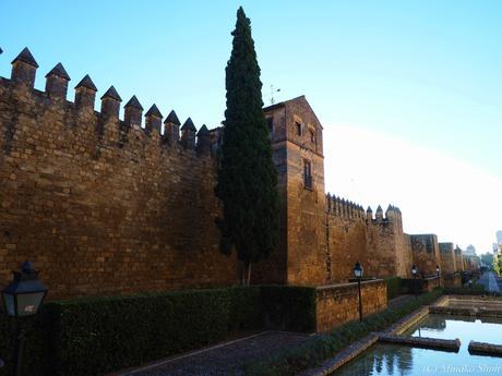 魅惑のコルドバ / Exotic Cordoba, part3