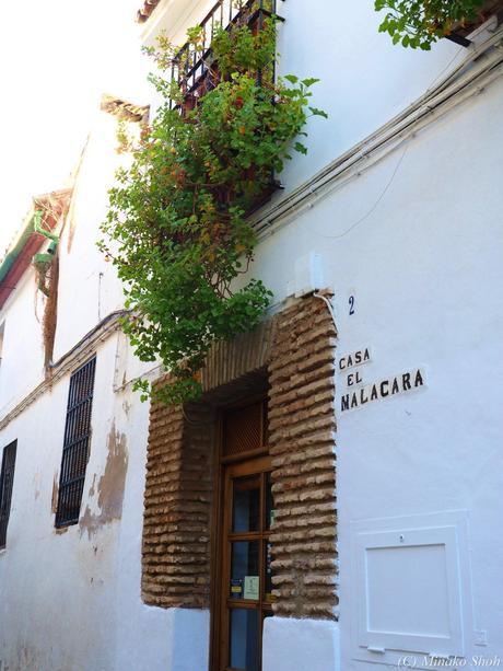 魅惑のコルドバ / Exotic Cordoba, part3