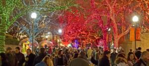 11/25/11 5:18:41 PM -- Lincoln Park Zoo Presents Zoo Lights . © Todd Rosenberg Photography 2011
