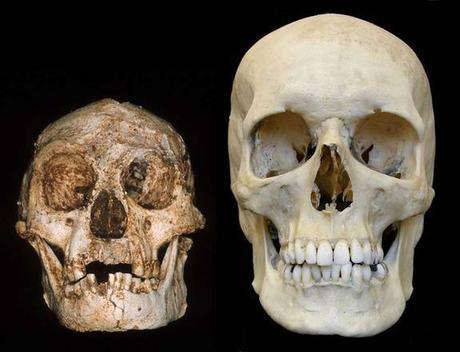 Top human evolution discoveries of last week (22/11/15)