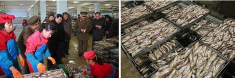 Kim Jong Un inspects a processing shop at the August 25 Fishery Station (Photo: Rodong Sinmun).