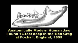 Michael Cremo - modern human bones, footprints and artefacts - 20 to 600 million years older than we thought
