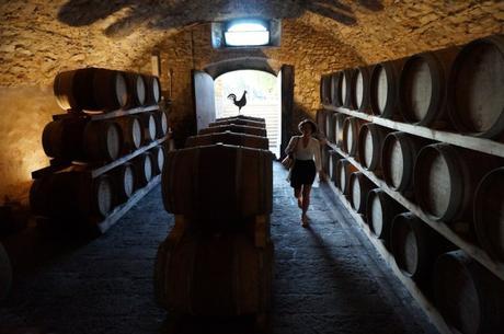 A Chianti by Any Other Name – Meet the Tenuta Nunzi Conti Winery