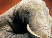 Amazing Animal Hand Paintings