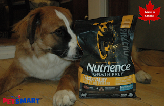 High quality pet food made in Canada: Discover the #SubZeroDifference