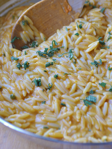 pumpkin-sage-orzo-pasta