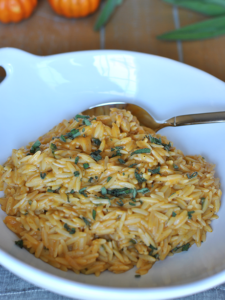 pumpkin-sage-orzo