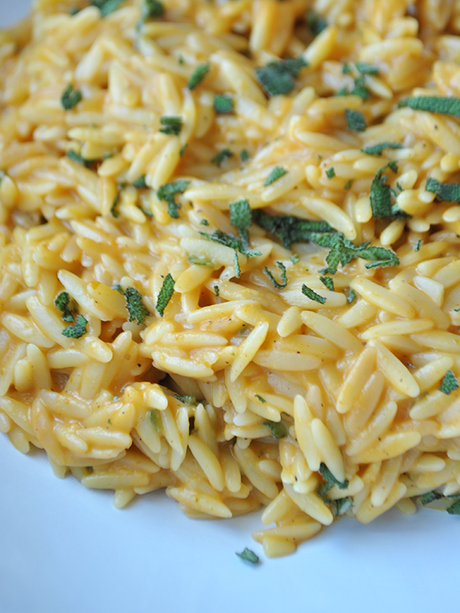 creamy-pumpkin-sage-orzo