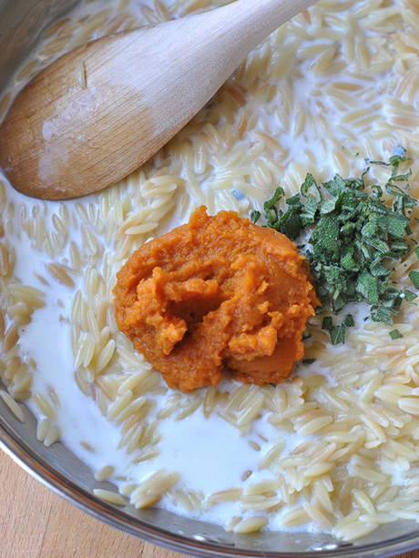 pumpkin-sage-orzo-ingredients