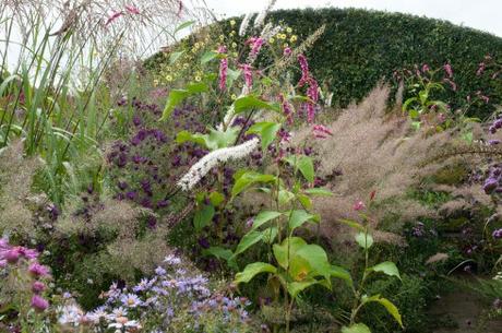 Miscanthus+Persicaria orientalis+Asters+Calmagrostis brachytricha at Jardin Plume september 2011