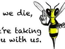 Informed: Quick Pollination Facts About Most Important Pollinators