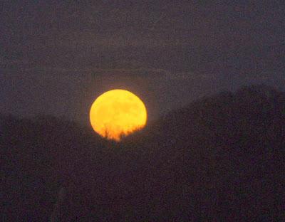 Two Moonrises