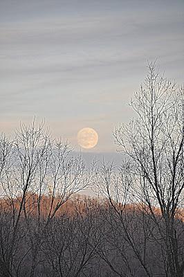 Two Moonrises