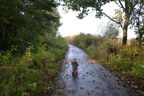 Toddlebike 2 review