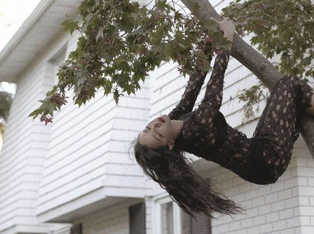 Embedded image permalink