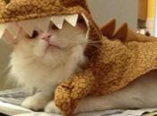 Prehistoric Dinosaur Cats (Dinocats)