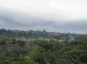 Deforestation Colombia Nearly Percent Last Year